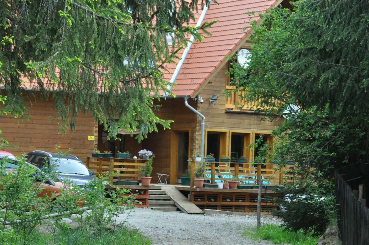 Mofetta Panzio Bed and Breakfast Sintimbru-Bai Eksteriør billede